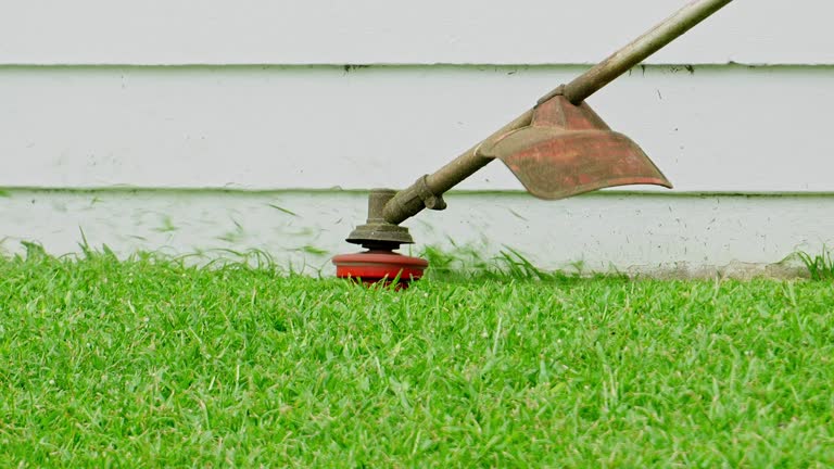 Best Storm Damage Tree Cleanup  in Piedmont, SD